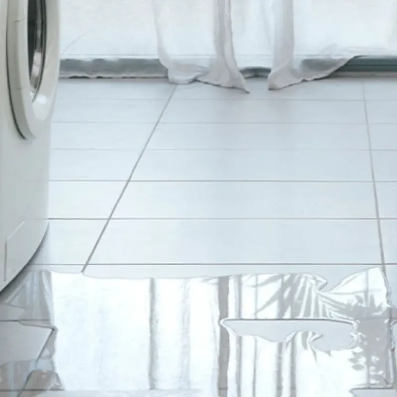 Appliance Leak Cleanup in Farmington, AR