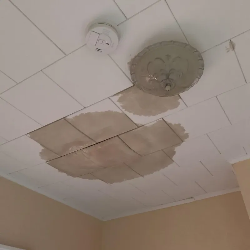 Ceiling Water Damage Repair in Farmington, AR